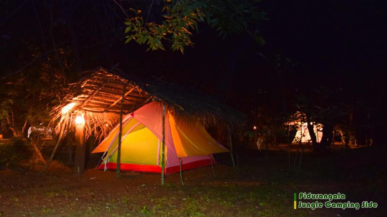 Sigiri Jungle Camping Hotel Сигирия Екстериор снимка
