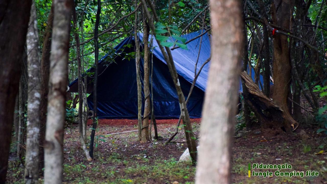 Sigiri Jungle Camping Hotel Сигирия Екстериор снимка